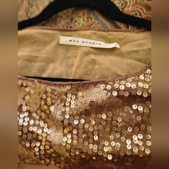 Sequin purse and Max Studio sequin top - Picture 5 of 6